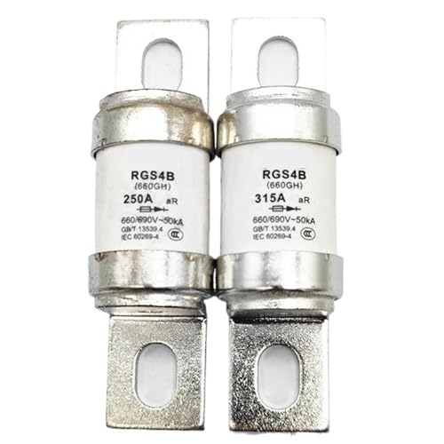 RG14 GG 500 V/10 A RG14 GG 500 V/16 A Sicherungseinsätze(RG14 gG 250V/16A) von XTSQUHPNH