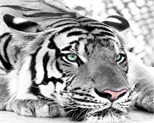 XTSWallpaper Fototapete 3D Effekt 200X150Cm Tier Tiger Textur Tapete Modern Vlies Hintergrundbild Fotografie Wandbilder Riesiges Bild Wohnzimmer Schlafzimmer Kinderzimmer Dekoration von XTSWallpaper