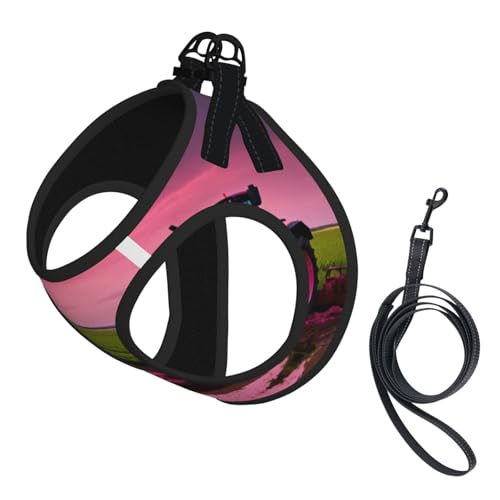 Company Hundegeschirr mit Traktor-Aufdruck, reflektierend, Haustierweste, Welpengeschirr, Leine-Set, für Spaziergangstraining von XTYGETY