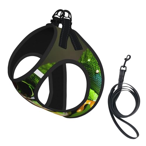 Hundegeschirr mit Baumfrosch-Motiv, reflektierend, Haustierweste, Welpengeschirr, Leine-Set, für Spaziergänge und Training Hundegeschirr mit Baumfrosch-Motiv, reflektierend, Haustierweste, Welpengeschirr, Leine-Set, für Spaziergänge und Training von XTYGETY