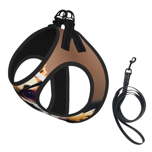 Hundegeschirr mit Chihuahua-Brille, reflektierend, Haustierweste, Welpengeschirr, Leine-Set, für Spaziergangstraining von XTYGETY