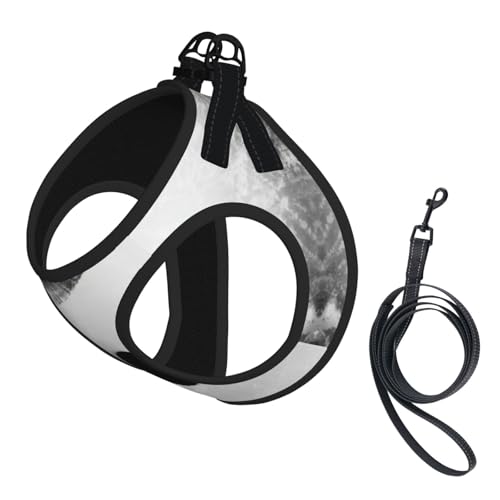 Hundegeschirr mit Eishockey-Kunstdruck, reflektierend, Haustierweste, Welpengeschirr, Leine-Set, für Spaziergangstraining von XTYGETY