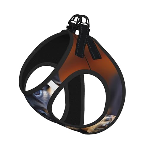 Hundegeschirr mit Hunde-Aufdruck, reflektierend, Haustierweste, Welpengeschirr, Leine-Set, für Spaziergangstraining von XTYGETY