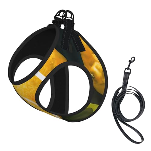 Hundegeschirr mit Zitronenfrucht-Druck, reflektierend, Haustierweste, Welpengeschirr, Leine-Set, für Spaziergangstraining von XTYGETY