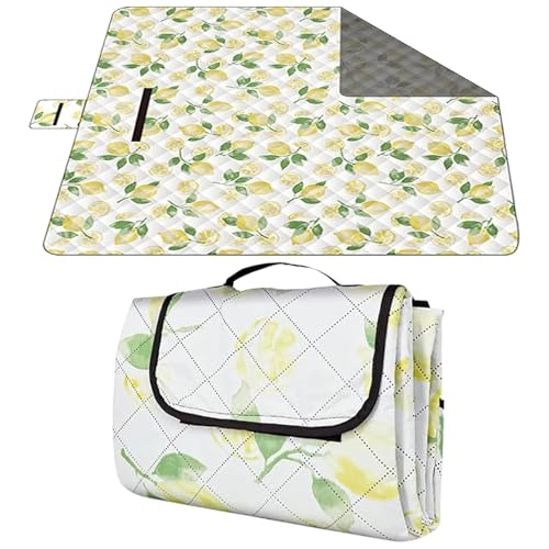 XUCZHAI 200 x 200 cm Picknickmatte, wasserdicht, feuchtigkeitsbeständig, faltbar, Campingdecke for Picknicks, Sandstrand, Camping, Outdoor-Aktivitäten(Flight Chess) von XUCZHAI