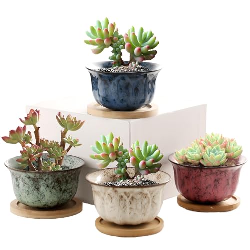 XUDREZ Keramik-Sukkulenten-Blumentopf, 4er-Set, kleine Blumentöpfe für den Innenbereich, mit Tablett, buntes Mini-Set, Kakteen, Sukkulentententöpfe, Heimdekoration, Stil 2 von XUDREZ