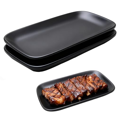 XUEHOU 2 Stück Servierplatten Rechteckig Kleine Teller Servierteller Schwarz Matt Teller Eckig Servierplatte Wiederverwendbar Frühstücksteller für Snacks, Desserts Kleinen Beilagen, Grill von XUEHOU