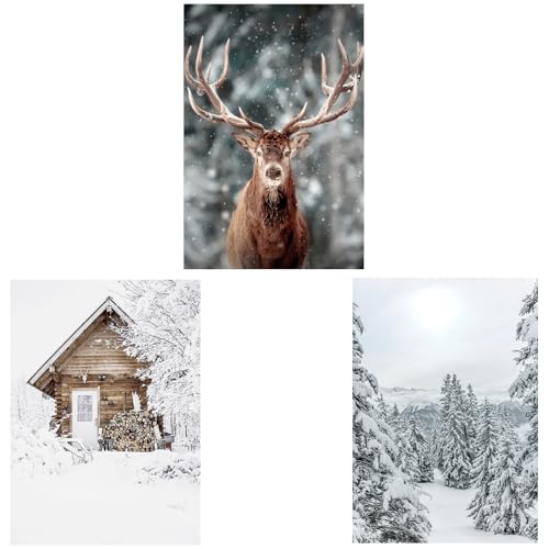 XUEHOU 3 Stück Poster Aesthetic ​Winter Wandbilder Set Moderne Wohnzimmer Bilder Kunstposter Natur Hirsch Wald Schneelandschaft Leinwand A4 weihnachtsbild für Schlafzimmer Wanddeko von XUEHOU