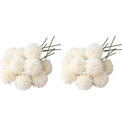 XUJIAN Chrysantheme Ball Blumen Blumenstrauß 20 Stück Geschenk für Wichtige Personen Glorreiche Moral () von XUJIAN