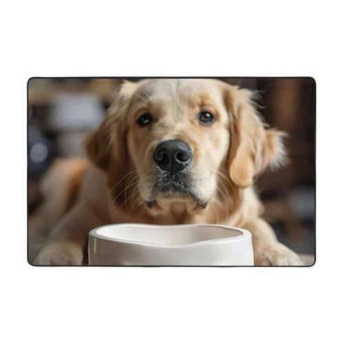 Niedlicher Hundeknochen-Napf mit Pfotenabdruck, Flanell, fusselfrei und pflegeleicht, bequem, für den Innenbereich zu allen Jahreszeiten Niedlicher Hundeknochen-Napf mit Pfotenabdruck, Flanell, fusselfrei und pflegeleicht, bequem, für den Innenbereich zu allen Jahreszeiten von XULLZH