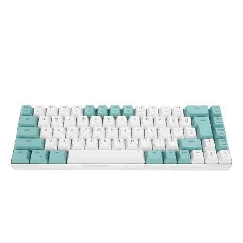 XUMIUZIY 60% Kabelgebundene Gaming Tastatur, RGB Hintergrundbeleuchtung 68 Tasten Mi NI Gaming Tastatur, Anti Ghosting und Multimedia Tasten, USB Kabel Computertastaturen für Wins, OS X von XUMIUZIY