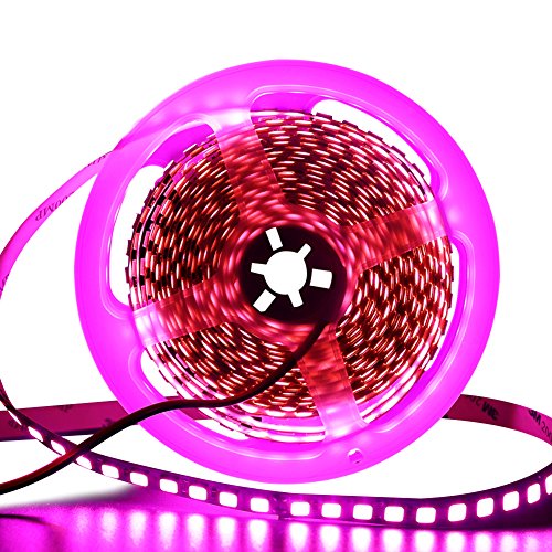 XUNATA LED Strip 5M, LED Streifen SMD 5054（Heller als 5050） Pink LED Lichtband IP65 Wasserdicht Selbstklebend LED Bander, Ideal für Garten, Weihnachten, Küche, Party (Pink) von XUNATA