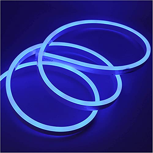 XUNATA 10m Neon LED Streifen Blau, 220V 2835 120leds/m IP65 Wasserdichte, Diffusion Flex LED Schlauch für Heim DIY Festival Dekoration von XUNATA