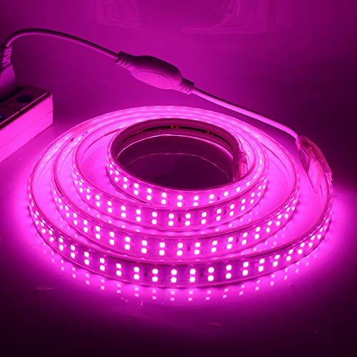 XUNATA Doppelreihe Rosa LED Strip Streifen, 220V 2835 SMD 180leds/m IP65 Wasserdicht, Flexibel LED Lichtband Seil Licht Schlauch für Hausbeleuchtung Dekor Bar (Rosa, 10M) von XUNATA