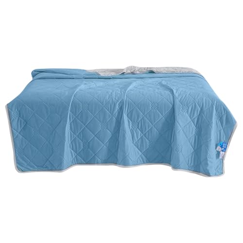 XUQEAYWD Kühlende Decke | Kühldecke Bei Nachtschweiß | Tragbare Schlafdecke Für Zuhause Bett Couch Sofa Outdoor Reise Camping von XUQEAYWD