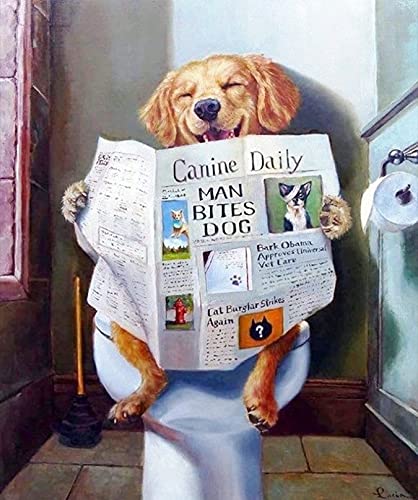 5D Diamond Painting Kits Full Drill für Kinder, DIY Art Kits für Erwachsene, Diamond Painting Hund auf Toilette 50 cm × 60 cm von XURAN