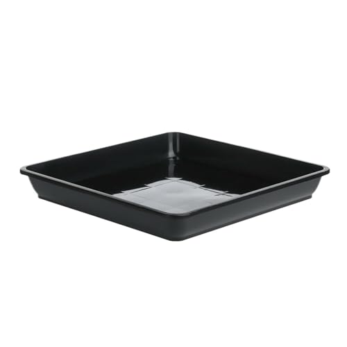 Untersetzer Für Pflanzen 5 Stück Blumentopf-Tablett, quadratisches Kunststoff-Tablett, Pflanzgefäß-Tablett, multifunktionales(Black,15 x 15cm) von XUWEWI