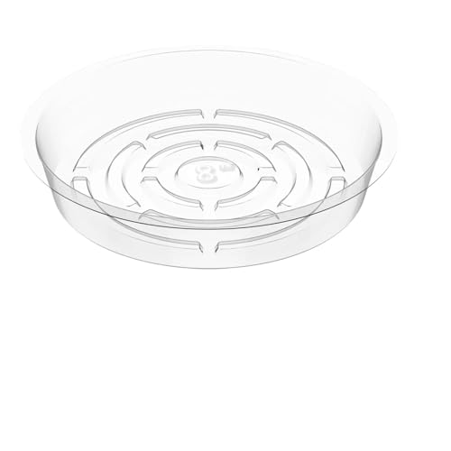 XUWEWI Untersetzer Für Pflanzen 10 Stück Pflanzenuntertassen Pflanzentropfschale Kunststoff Blumentopfschale for Indoor Outdoor Pflanzentöpfe XUWEWI Untersetzer Für Pflanzen 10 Stück Pflanzenuntertassen Pflanzentropfschale Kunststoff Blumentopfschale for Indoor Outdoor Pflanzentöpfe von XUWEWI