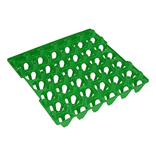 XUXHOU Eierspeicher -Tablett Resistent 30 Zell Eierhüllen Landwirtschaftliche Materialien für den Numerischen Halter (Green) von XUXHOU