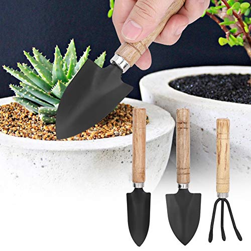XUXHOU Tuindools Set Mini Spade Claw Rake Phel für Blumentopftransplantation - 3 Stcs Metall -Kit Geeignet für Erwachsene / 5 Jahre und Schönes Design von XUXHOU