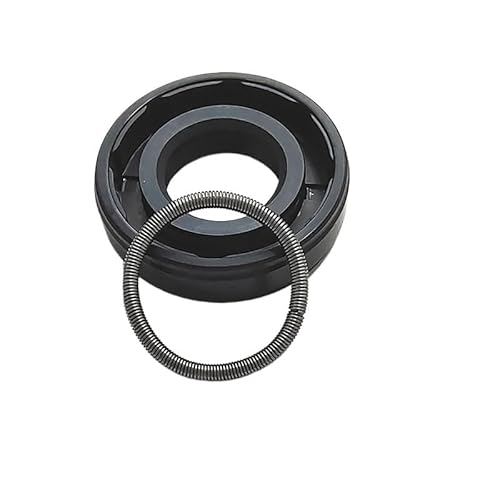 Lippendichtung, Doppellippen-Öldichtung, 2er-Pack TC-25 Wellen-Öldichtung, Doppellippe mit Strumpfbandfeder, Skelett-Öldichtung, schwarz, mehrere Größen(25x35x10mm) von XUZWMAGZJ