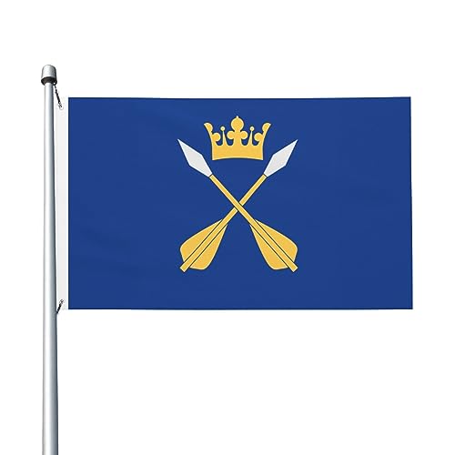 Dalarnas Län Vapenflagga Flagge, 90 x 150 cm, doppelseitige Flaggen, langlebig, für den Außenbereich, Hof, Dekorationen, Flaggen, Heimparty, Willkommensflagge von XVBCDFG