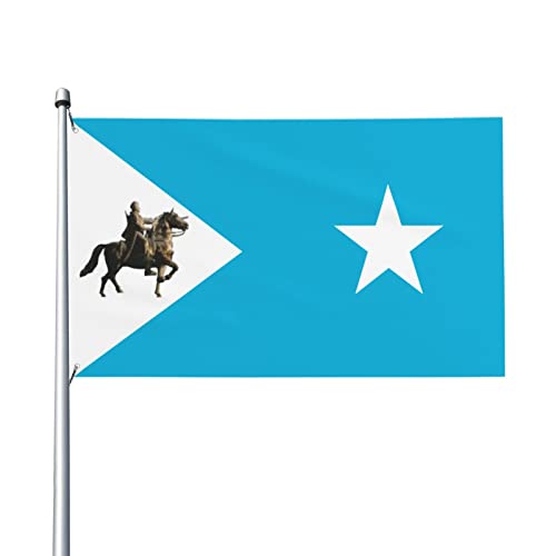 Flagge von Khaatumo Bundesstaat Somalia Flagge 90 x 150 cm langlebig Outdoor Garten Banner Urlaub Party Zuhause Dekoration Flaggen von XVBCDFG