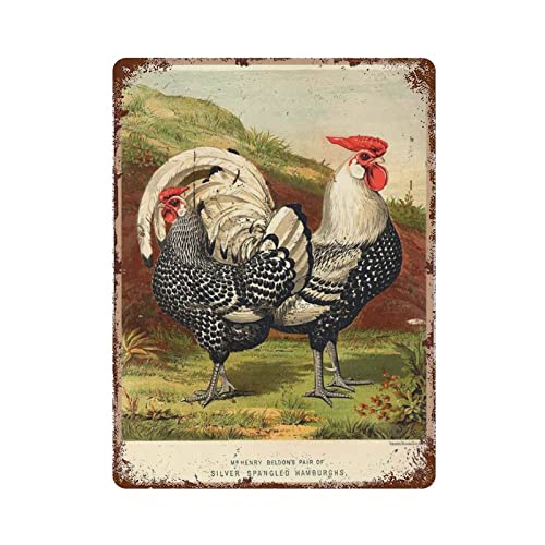 Huhn Dekor Vintage Metallschild für Home Shop Coffee Garage Man Cave Schilder Wandschild Küche Bar Schild Wanddekoration Poster von XVBCDFG