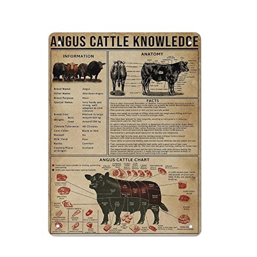 Kuh Angus Rinder Wissen Blechschild Wanddekoration Lustiges inspirierendes Zitat Wandkunst Schild Vintage Blechschilder für Zuhause Kaffee Bar Man Cave Schild Pub Poster Kuh Angus Rinder Wissen Blechschild Wanddekoration Lustiges inspirierendes Zitat Wandkunst Schild Vintage Blechschilder für Zuhause Kaffee Bar Man Cave Schild Pub Poster von XVBCDFG