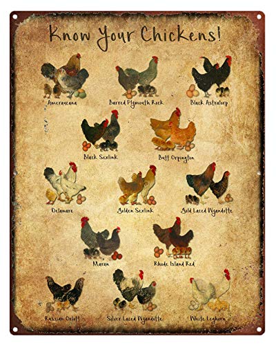 Wissensschilder Metallschilder Lustige Hühnerrassen Diagramm Druck – Geflügeldruck – Huhn Metallschild – Geflügel Illustration Benutzerdefinierte Metallschilder Outdoor Personalisiert von XVBCDFG