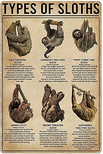 XVBCDFG Bildung Poster Faultiere Wissen Metall Blechschild Typen von Faultieren Retro Druck Poster Schule Cafe Bar Schlafzimmer Badezimmer Küche Home Kunst Wanddekoration von XVBCDFG