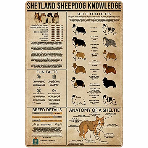 XVBCDFG Dog Knowledge Metall-Blechschild, Shetland Sheepdog, Anatomie-Diagramm, Aluminium-Poster, Bauernhof, Schule, Tiergeschäft, Zuhause, Küche, Club, Garage, Wanddekoration, Vintage-Schild, 30,5 x von XVBCDFG