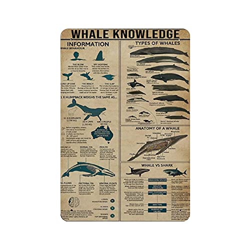 XVBCDFG Metall-Blechschild mit Aufschrift "Kitchen Whale Knowledge", Vintage-Wanddekoration für Schlafzimmer, Zuhause, Wanddekoration, Poster, 30 x 20 cm XVBCDFG Metall-Blechschild mit Aufschrift "Kitchen Whale Knowledge", Vintage-Wanddekoration für Schlafzimmer, Zuhause, Wanddekoration, Poster, 30 x 20 cm von XVBCDFG