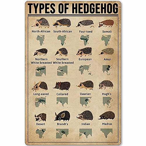 XVBCDFG Types of Hedgehog Wissen Metallschild Retro Schule Club Home Infografik Wandplakette Blechposter Dekoration Eisenmalerei 20,3 x 30,5 cm von XVBCDFG