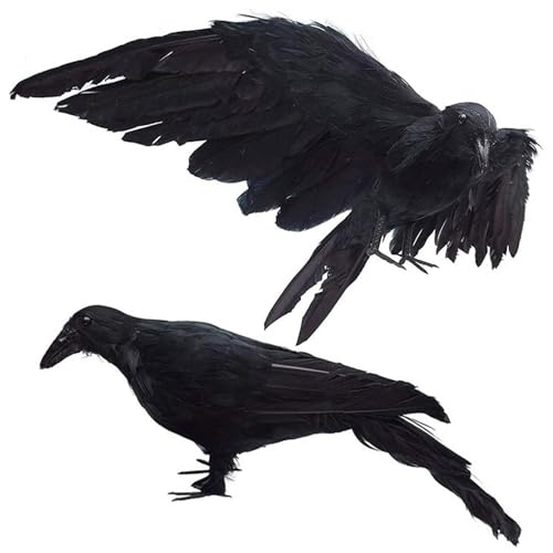 2pcs Crow, 13x5, 5 realistisches Rabendekor mit abnehmbarem Flügel, künstlicher Dead Crow Decoy für das Schrecken von Krähen für Natur im Freien und Halloween -Dekorationen im Innen 2pcs Crow, 13x5, 5 realistisches Rabendekor mit abnehmbarem Flügel, künstlicher Dead Crow Decoy für das Schrecken von Krähen für Natur im Freien und Halloween -Dekorationen im Innen von XVHOAB