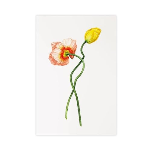 XVHOGAS Weiße Mohnblume, gelbe Wildblume, Aquarellgemälde, Leinwand, Poster, Wandkunst, Dekordruck, Bild Gemälde für Wohnzimmer, Schlafzimmer, Dekoration, 30 x 45 cm XVHOGAS Weiße Mohnblume, gelbe Wildblume, Aquarellgemälde, Leinwand, Poster, Wandkunst, Dekordruck, Bild Gemälde für Wohnzimmer, Schlafzimmer, Dekoration, 30 x 45 cm von XVHOGAS