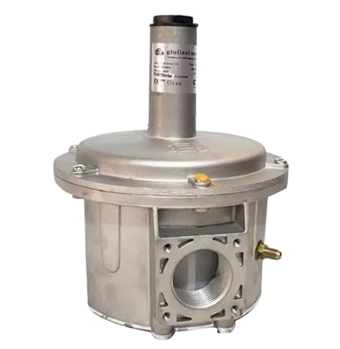 Giulianianello Gasdruckminderventil FG1B15 DN15 FG1B20 DN20 FG1B25 DN25 FG1B32 DN32 FG1B40 DN40 FG1B50 DN50 ST1B65 DN65(FG1B50 DN50) von XVKZYQKCR