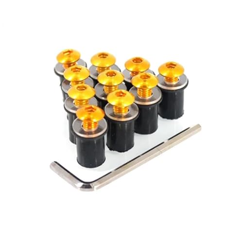 XWDPDNHHD Verkleidungsschrauben-Set Befestigungsschrauben Für Motorrad-Windschutzscheibenverkleidungen Für BMW S1000RR S1000R S1000XR S1000 RR S1000 XR F800R Schrauben(Gold) von XWDPDNHHD