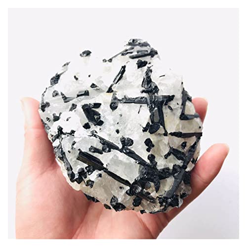 1 STÜCK Rauer Natürlicher Kristallstein Schwarzer Turmalin Rutilquarz Probe 50G-300G zur Dekoration (Color : 110g-130g 1pc) von XWFNQSF