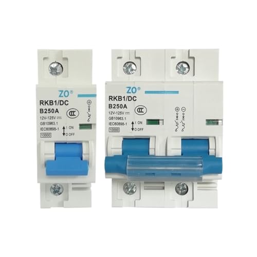 1P 2P DC Circuit Breaker 12V 24V 36V 48V 60V 72V 96V 120V Solar Zellen Batterie Circuit Breaker 80A 100A 125A 150A 200A 250A(2P,250A) von XWMSCLAK