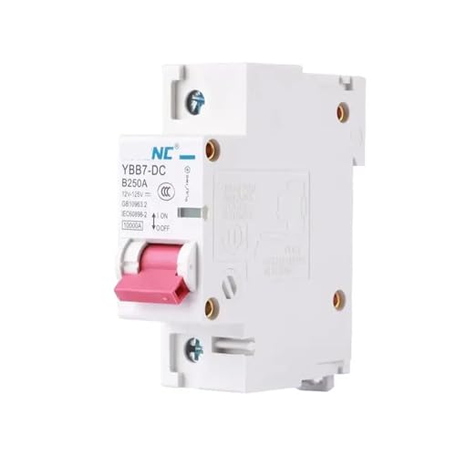 1P 2P DC-Leistungsschalter 80A 100A 125A 150A 200A 250A 12V 24V 36V 48V 60V 72V 120V Leistungsschalter(1P,80A) von XWMSCLAK
