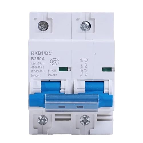 DC 2p DC Circuit Breaker 12-125V 1P Automatische Protector Elektrische Fahrzeug 80A/100A/125A/200A/250A Batterie Schutz(2P,100A) von XWMSCLAK