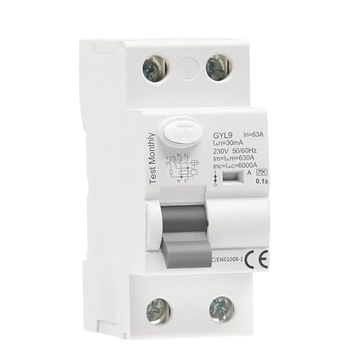 GYL9 A Typ Fehlerstrom-Schutzschalter AC 2 Pole 40A 63A 30mA 100mA 300mA(2P 40A,100mA) von XWMSCLAK