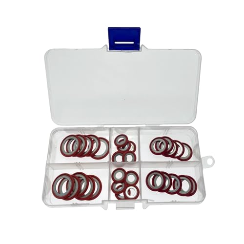 XWMSCLAK 100 Stück A/C-Dichtung for Klimaanlage Ford Focus Mondeo Focus Victorious Explorer, Düsendichtung for Verdampfer-Expansionsventil(Size 4) von XWMSCLAK