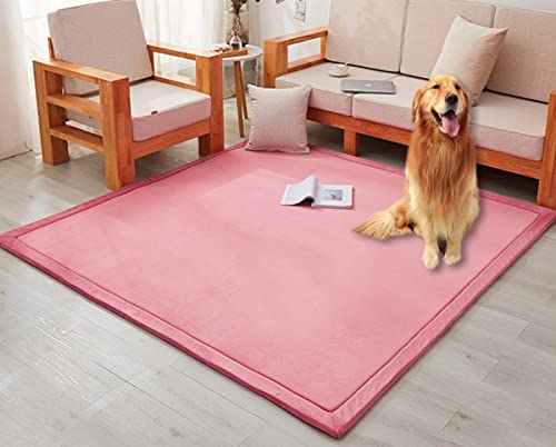 XWanitd 3 cm dicker Korallensamt, große Fläche, weiche rutschfeste Bodenspielmatte, Krabbelmatte, dicker Teppich für Arbeitszimmer, Wohnzimmer, Schlafzimmer (60 x 180 x 3 cm, Rosa) von XWanitd