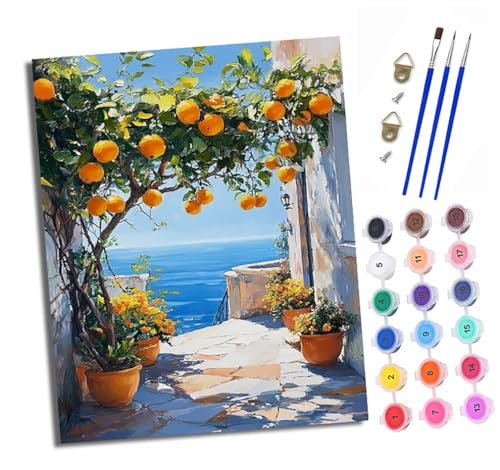 Malen Nach Zahlen Erwachsene - AnfäNger - Knitterfreie Leinwand Orangenbaum-Allee mit Meerblick Pinsels Und Acrylfarbe - Diy öLgemäLde Kit Als Geschenk 40 X 50cm Mit Rahmen von XXHXIE