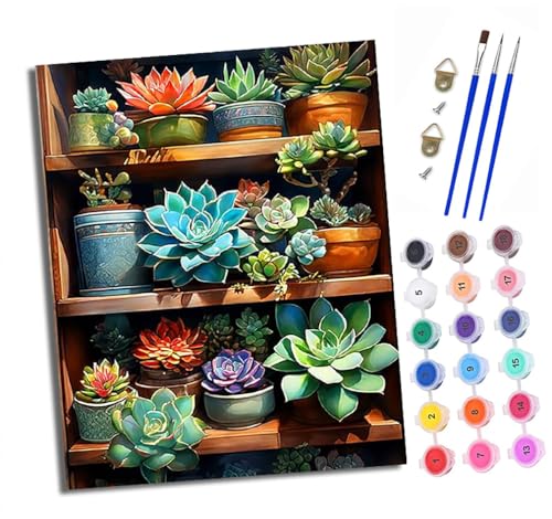 Malen Nach Zahlen Erwachsene - AnfäNger - Knitterfreie Leinwand Sukkulenten im Regal Pinsels Und Acrylfarbe - Diy Handgemalt öLgemäLde Kit Als Geschenk 40 X 50cm von XXHXIE