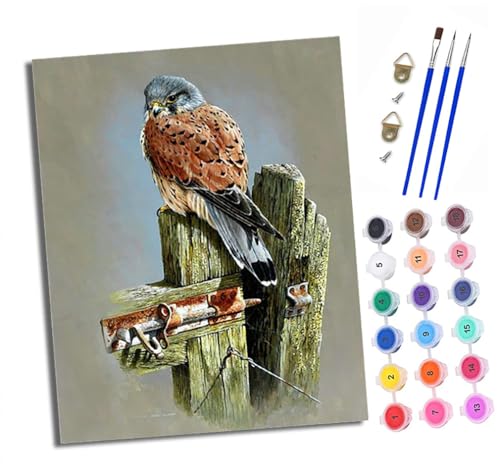 Malen Nach Zahlen Erwachsene - AnfäNger - Knitterfreie Leinwand Turmfalke auf einem Holzpfahl Pinsels Und Acrylfarbe - Diy öLgemäLde Kit Als Geschenk 40 X 50cm Mit Rahmen von XXHXIE