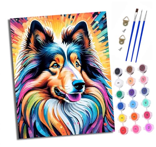 Malen nach Zahlen DIY Handgemalt Ölgemälde Set für Anfänger und Jugendliche Farbiger schottischer Schäferhund Pinsel und Acrylfarbe 40x50 cm Mit Rahmen ideal als Geschenk oder zur Heimdekoration von XXHXIE