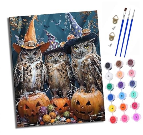 Malen nach Zahlen Erwachsene Eule auf einem Kürbis DIY Handgemalt Ölgemälde Kit Paint by Numbers Adult Mit 3 - Pinseln und Acrylfarbe knitterfreie leinwand Kit - 40 X 50 CM von XXHXIE